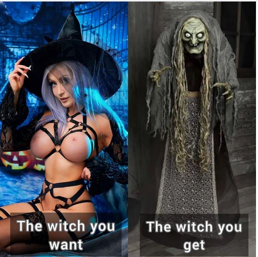 halloween meme - the witch you want vs the one you get